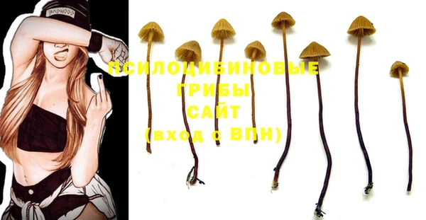 прущая мука Нефтегорск