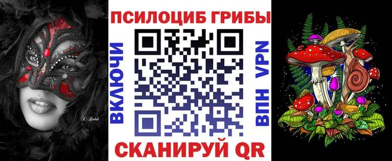 Галлюциногенные грибы Psilocybe  Купить  Керчь 